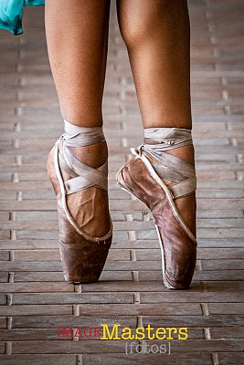P1038323-3.jpg
